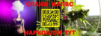 шишки Кулебаки