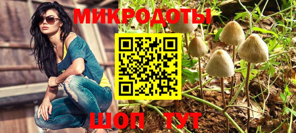 Галлюциногенные грибы MAGIC MUSHROOMS  Галлюциногенные грибы Psilocybe  Вход с VPN  Елизово 