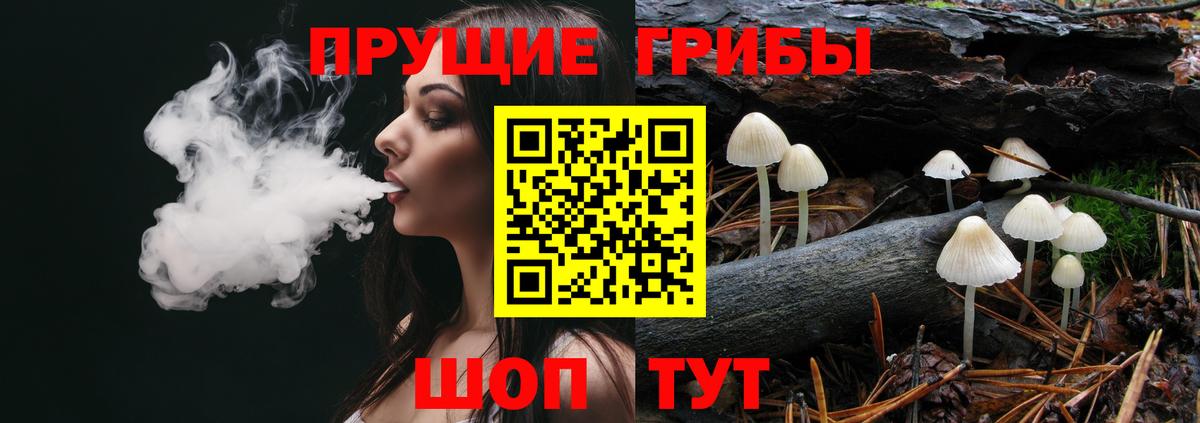 Псилоцибиновые грибы GOLDEN TEACHER Елизово